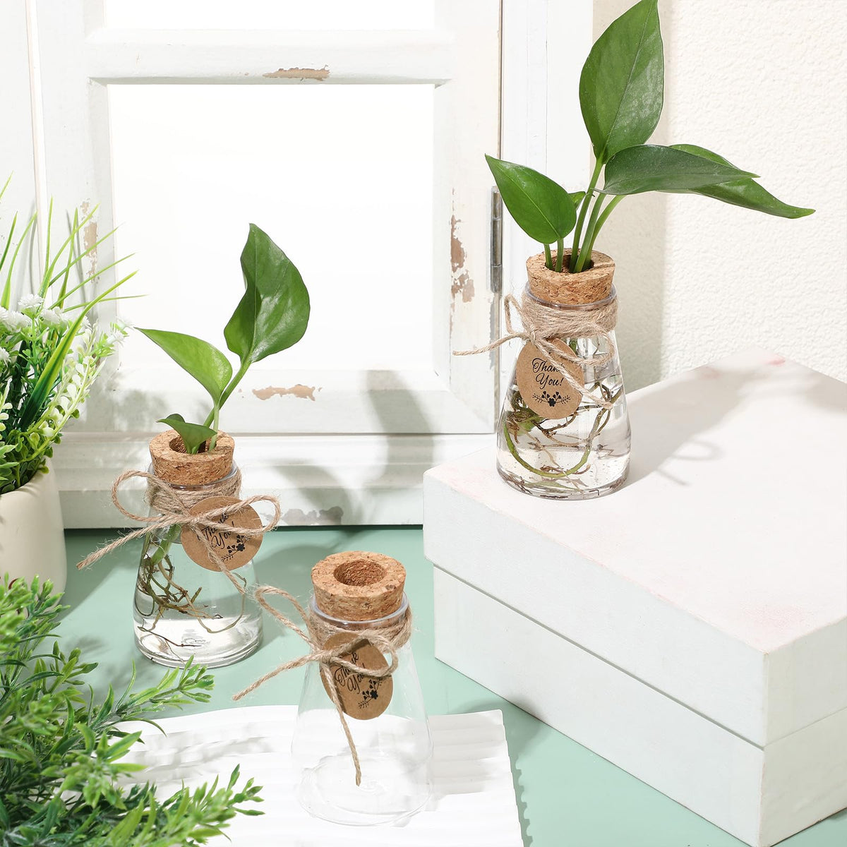 Baderke thank-you tag for gifting plant kits