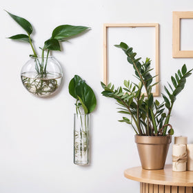 Baderke wall-mounted planter set for indoor or outdoor use.