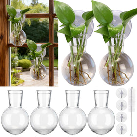 Baderke window propagation stations: six-pack setup for expanding your indoor garden.
