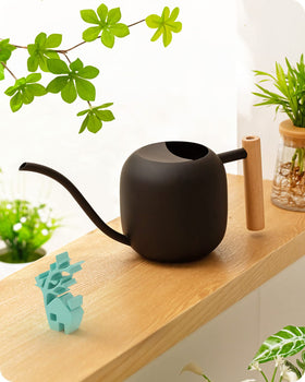 Baffect watering can with long spout for precise indoor watering.