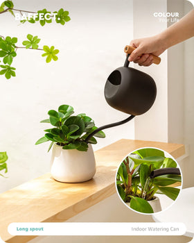 Baffect watering can with wooden handle provides comfortable grip.