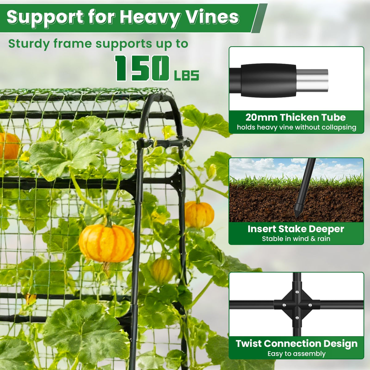 BAG WIZARD garden netting detail helps guide climbing plants upward.
