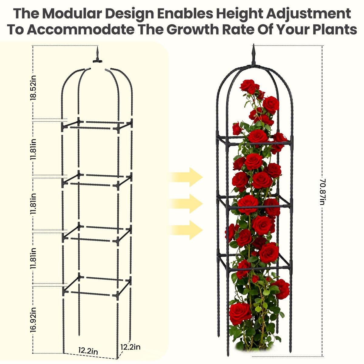 Bag Wizard rose trellis pyramid design elevates roses with vertical support.
