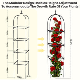 Bag Wizard rose trellis pyramid design elevates roses with vertical support.
