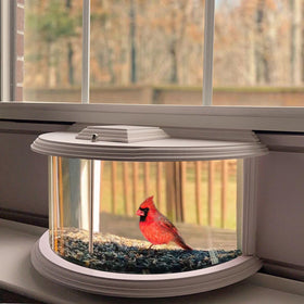 BAIAPEY Window Bird Feeder offers 180° clear view for up-close bird watching from indoors.