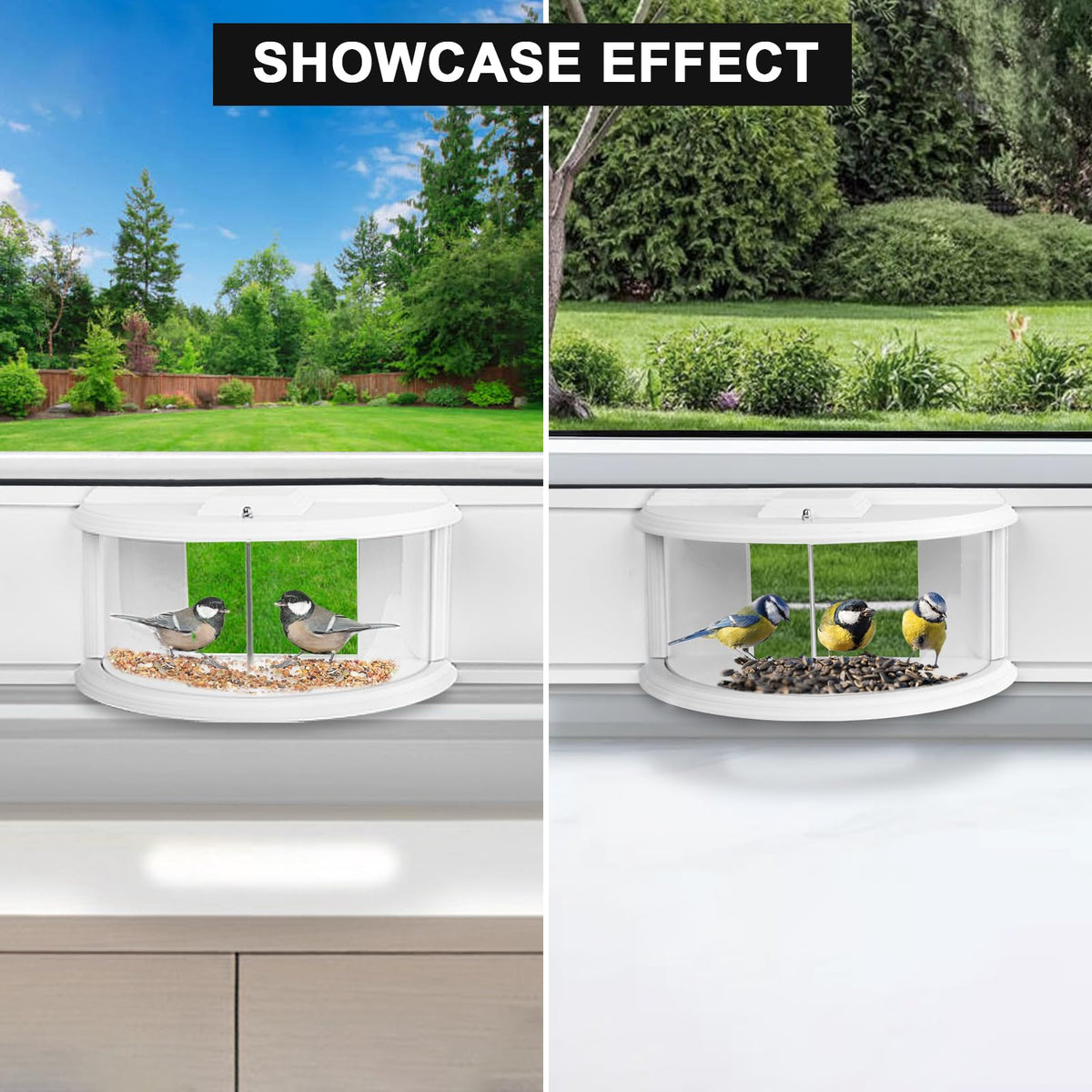 BAIAPEY Window Bird Feeder brings backyard birds into your view for lively observation.