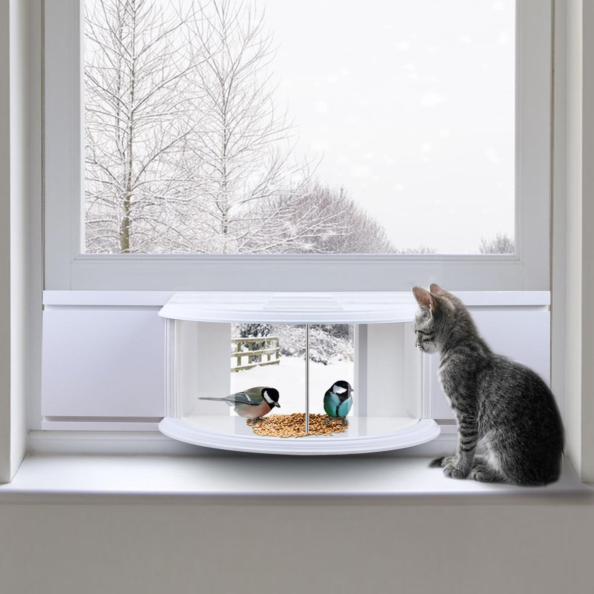 BAIAPEY Window Bird Feeder ships in gift-ready packaging for thoughtful nature gifts.