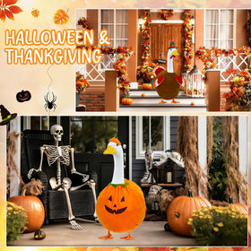 Bailiyake Halloween goose costume brings cute festive flair to your porch.