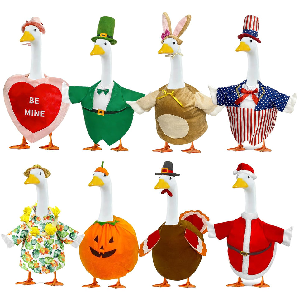 Bailiyake Valentine goose costume for porch decor, adds festive charm and photos.