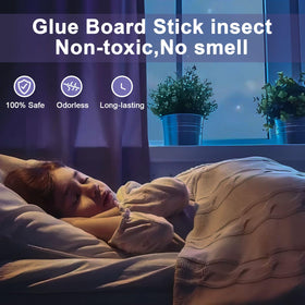 BAIMNOCM compact indoor pest trap fits discreetly in living spaces
