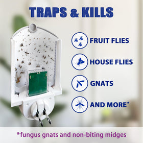 BAIMNOCM UV blue light lures gnats and fruit flies near a sink area.