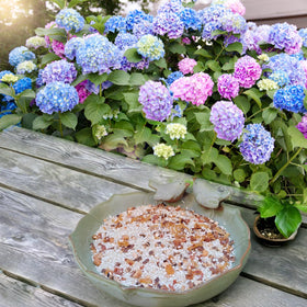 Bakayoyo garden decor bird bath adds elegance to yard, deck, or balcony.