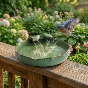 Bakayoyo ground-level bird feeder bath invites birds and small wildlife to feed.