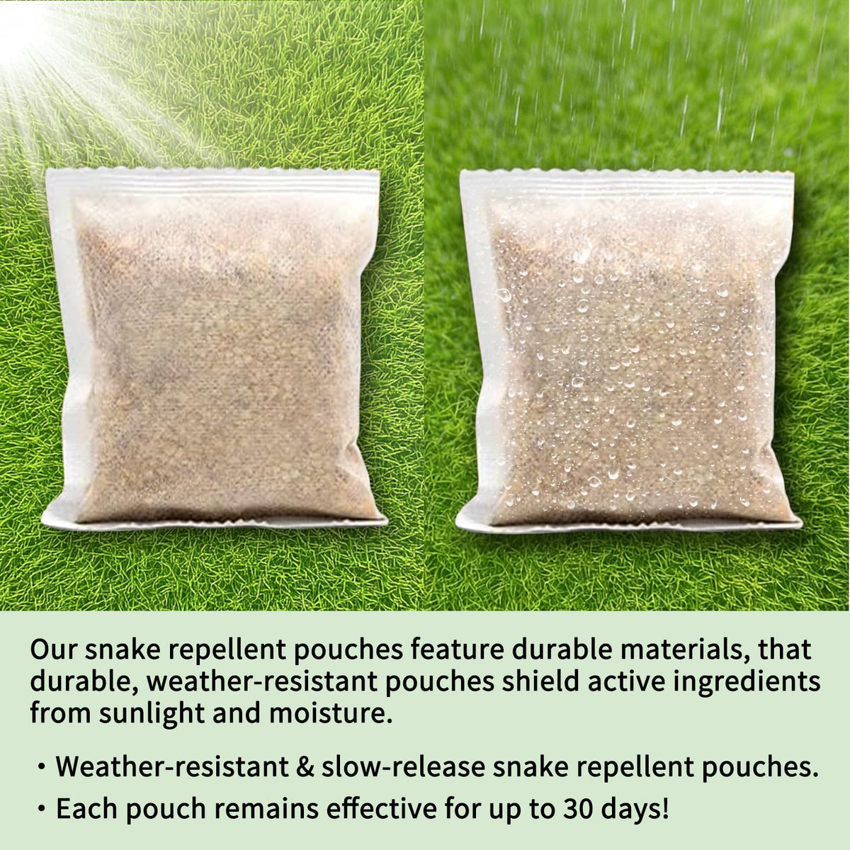 Balancexlite Plus covers up to 1000 sq ft for long-lasting defense