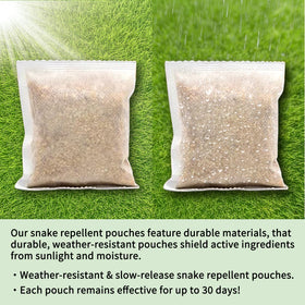 Balancexlite Plus covers up to 1000 sq ft for long-lasting defense