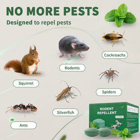 Indoor and outdoor scene with Balancexlite Plus for versatile rodent defense