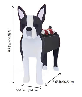 Bamboo's Grocery LoKii Boston Terrier planter, detachable design, quick setup for versatile use.