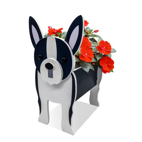 Bamboo's Grocery LoKii Boston Terrier planter, indoor-outdoor practicality, fits porches and balconies.
