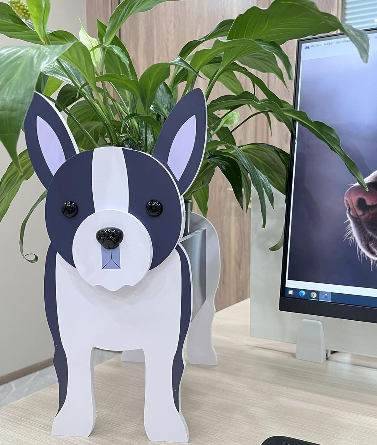 Bamboo's Grocery LoKii Boston Terrier planter, charming patio decor with PVC durability.