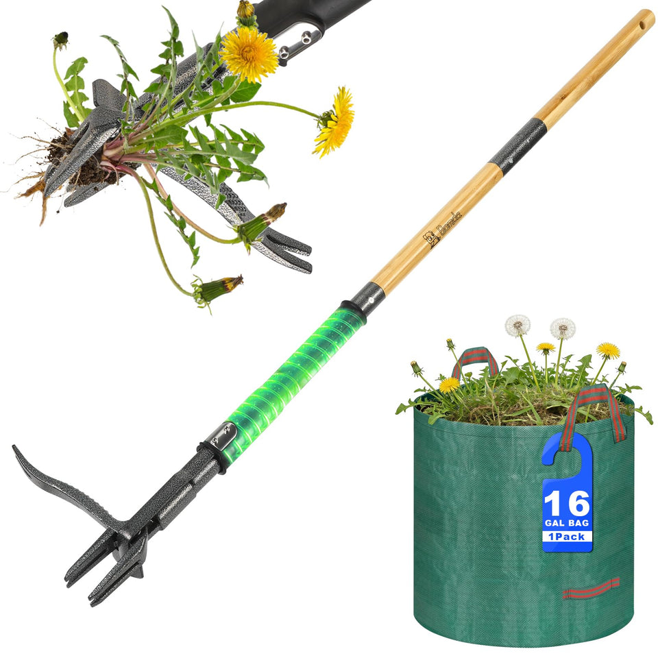 Bamda weed puller tool with 4-claw head for deep root removal in your garden