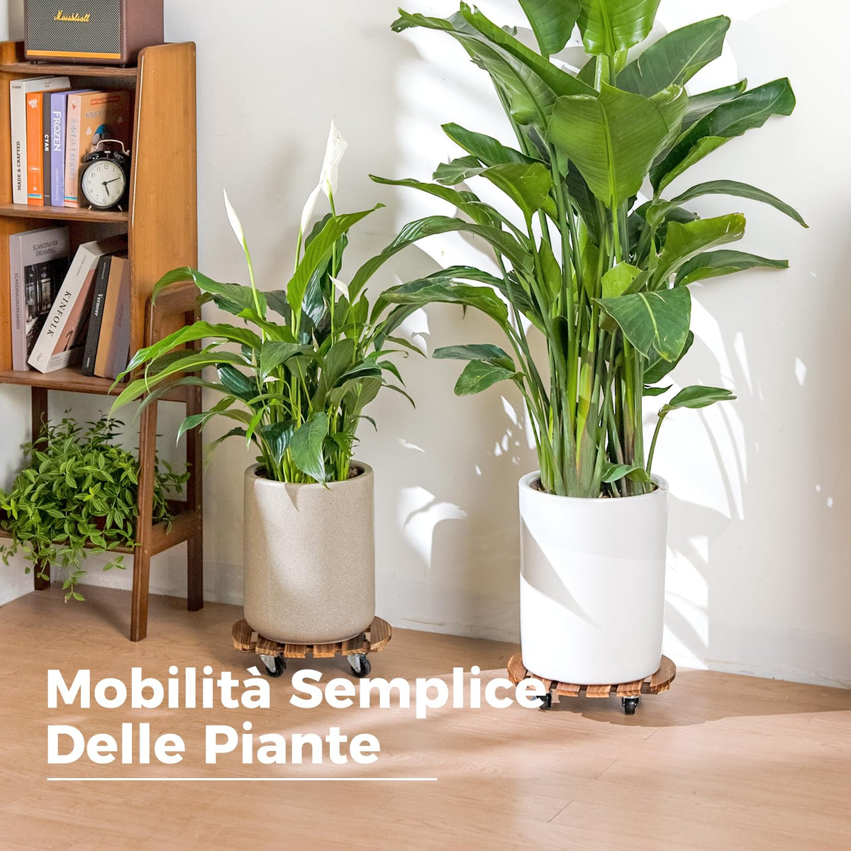 Bamworld 360-degree swivel wheels with locks stabilize large pots when needed.
