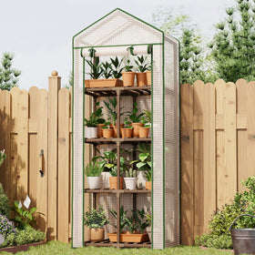 Bamworld 4-tier greenhouse frame in eucalyptus wood for sturdy outdoor use.