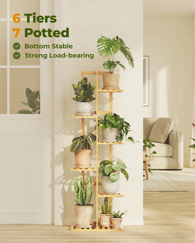 Bamworld bamboo plant stand in a living room demonstrating organized plant display