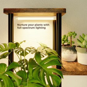 Bamworld corner plant display in a modern living room enhances greenery and space efficiency.