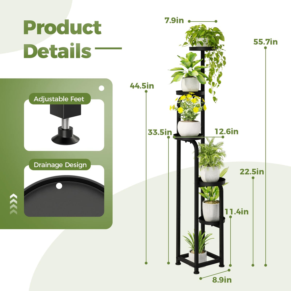 Bamworld display unit creates a dramatic plant arrangement for any living space.