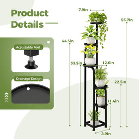 Bamworld display unit creates a dramatic plant arrangement for any living space.