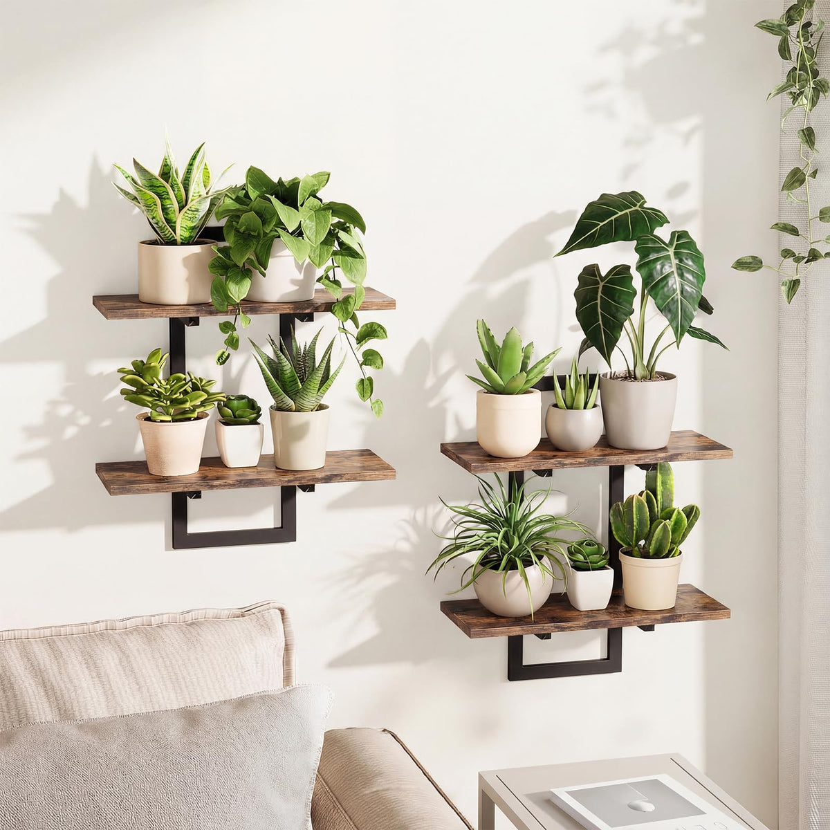 Bamworld floating shelves with wall planters create a lush display in small spaces.