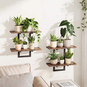 Bamworld floating shelves with wall planters create a lush display in small spaces.