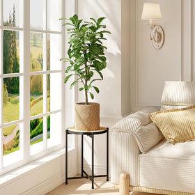 Bamworld handwoven rattan stand adds boho charm to corner plant arrangements.