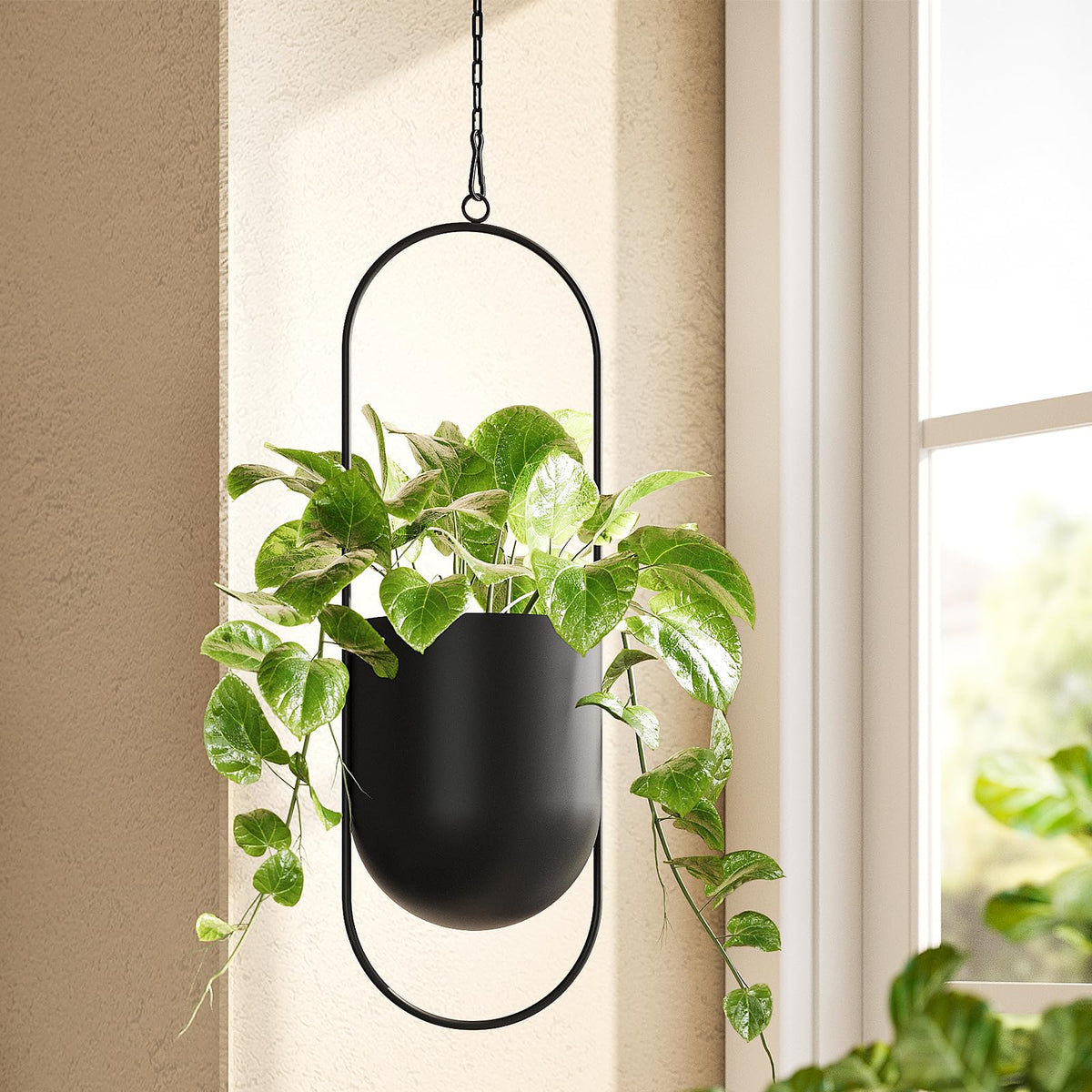 Bamworld hanging planter with metal frame and 5.5-inch opening, ideal for versatile placement.