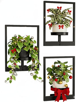 Bamworld hanging planters wall decor enhances greenery while saving wall space.