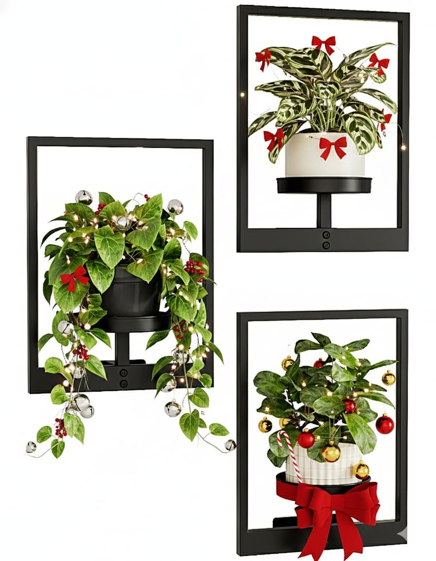 Bamworld hanging planters wall decor enhances greenery while saving wall space.
