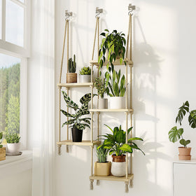 Bamworld window sill planter maximizing sunny space for plants