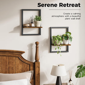Bamworld hanging wall planter kitchen herbs illustrates convenient herb garden.