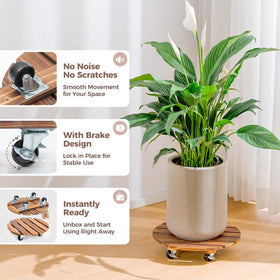 Bamworld heavy-duty plant dolly moves heavy pots smoothly
