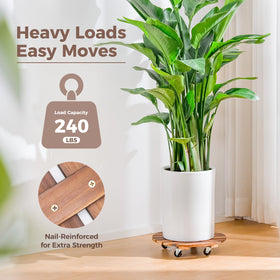 Bamworld indoor-outdoor mobility to reposition plants with ease.