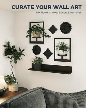 Bamworld indoor outdoor plant hanger wall mounted in black
