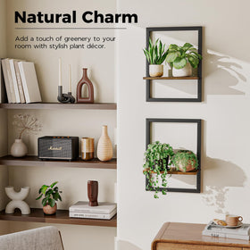 Bamworld indoor plant display frame highlights versatile wall decor and greenery.