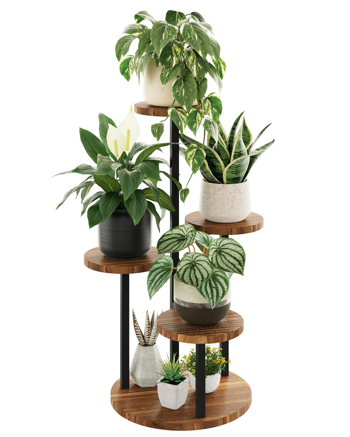 Bamworld indoor tiered plant stand displaying succulents; space-saving corner display.