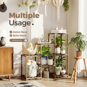 Bamworld ladder shelf in living room showcasing various houseplants.