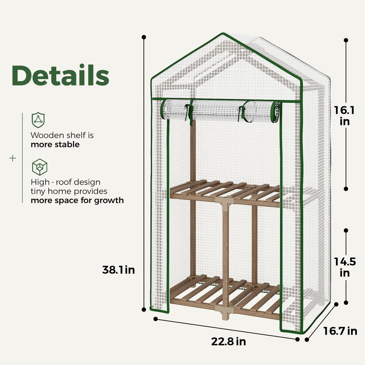 Bamworld Mini Greenhouse shows the eucalyptus frame for sturdy outdoor use.