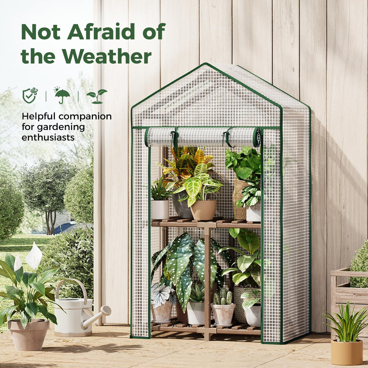 Bamworld Mini Greenhouse highlights the PE cover for wind and rain protection.