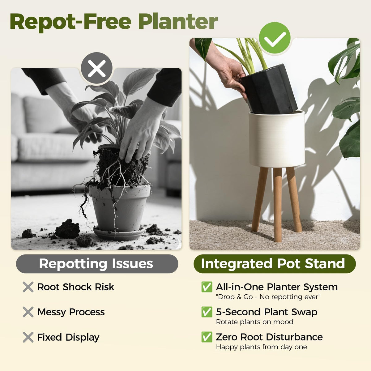 Bamworld modern home decor plant display for living rooms.