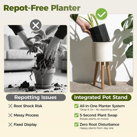 Bamworld modern home decor plant display for living rooms.