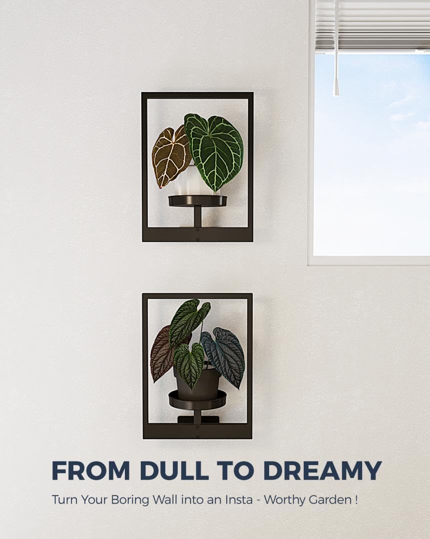 Bamworld patent design plant holder for modern spaces