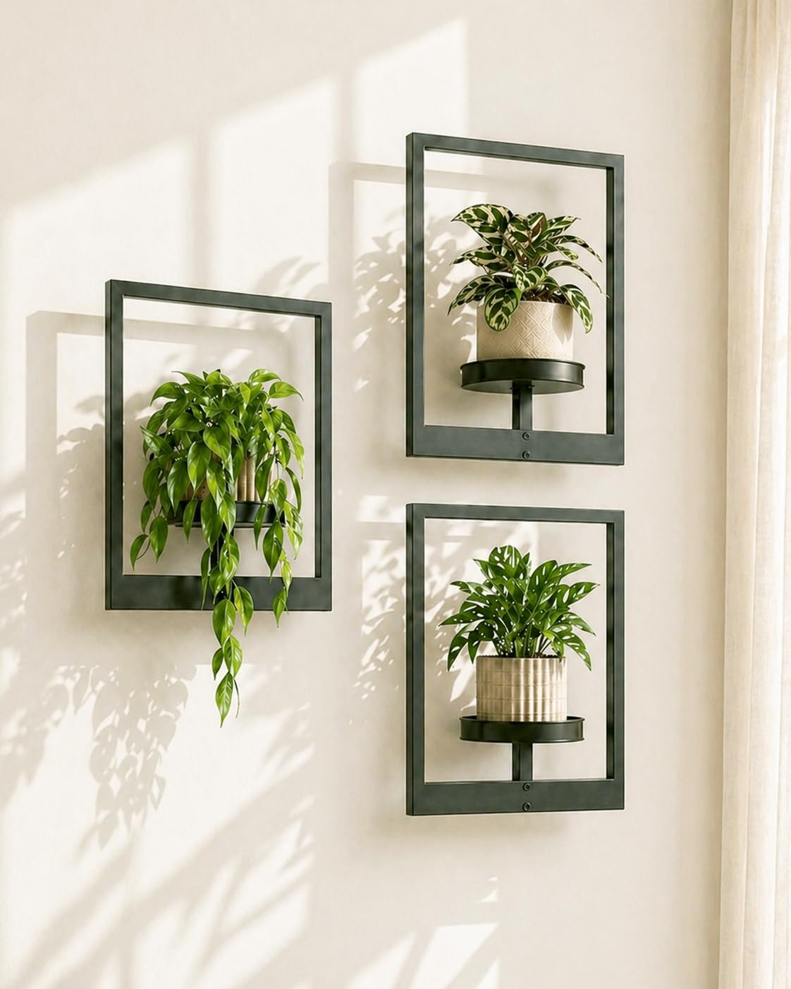 Bamworld picture-frame plant shelves showcase plants as living art.